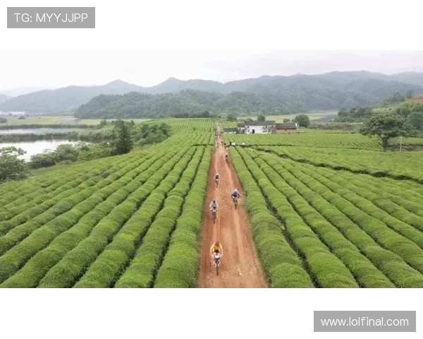 体育数字运营与农业结合 发展乡村体育旅游项目